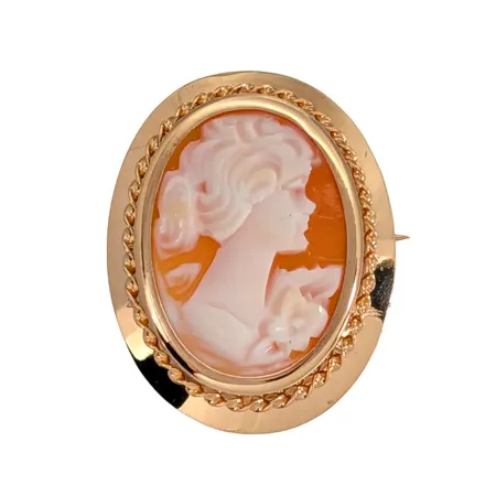 Hänge / Brosch med Camé, 18K guld, tillverkarstämpel FIN, längd inkl. ögla 30 mm, bredd 20 mm, fint skick Vikt: 3,6 g