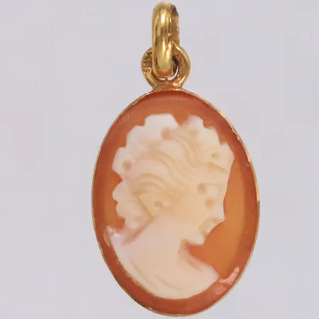 Hänge med Camé, längd 23mm inklusive ögla, bredd 12mm, 18K Bruttovikt 1,1g