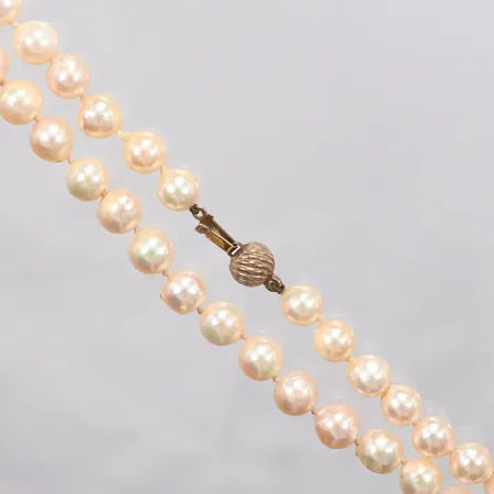 Pärlcollier odlade salt vatten pärlor, Ø 7mm, längd 43cm, lås i silver. Vikt: 24,7 g