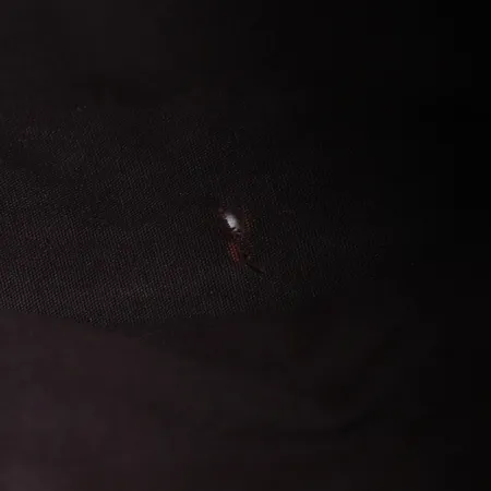 Bild av vara SE1.R86468