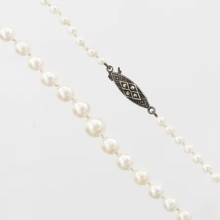 Collier med odlade saltvattenpärlor Akoya, doserat, silverlås med markasiter, längd 50cm, bredd 3-8mm, smärre slitage. Vikt: 0 g