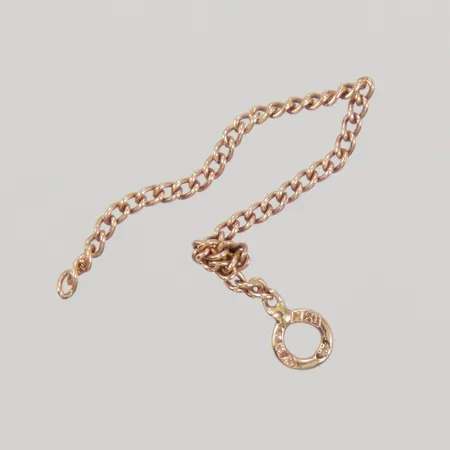 En bit av en kedja, 18K Vikt: 0,3 g