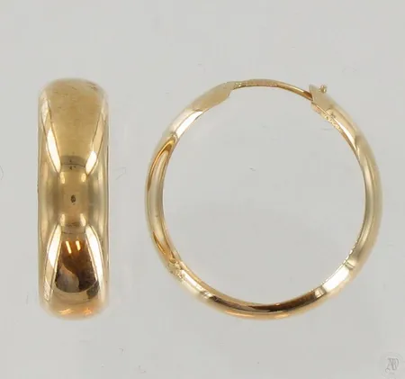 Korvarenkaat, Ø 23mm, käytön jälkiä, 585, paino 2,0g Paino: 2   g