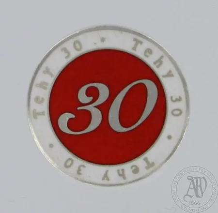 Emaloitu rintamerkki, Tehy 30, Ø 18mm, 925br, paino 3,2g Paino: 3,2 g