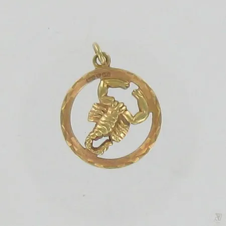 Horoskooppiriipus, korkeus 22mm, 585, paino 1,4g Paino: 1,4 g