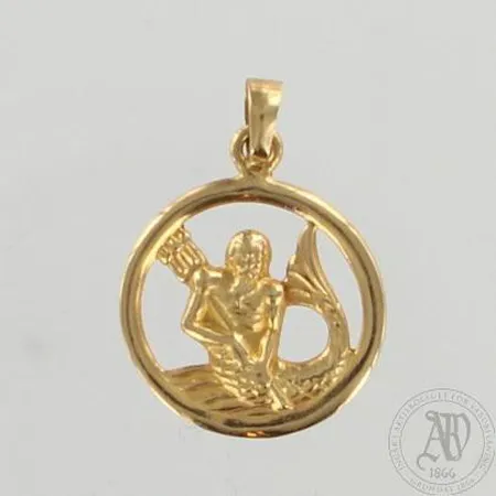 Horoskooppiriipus, korkeus 20mm, 585, paino 1,0g Paino: 1   g