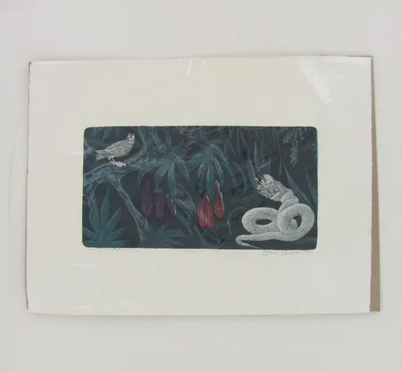 Grafiikkatyö, etsaus, akvatinta, Käärme ja lintu, signeeraus Sari Bremer 2012, mitat 13x23cm Lähetetään postipakettina.
