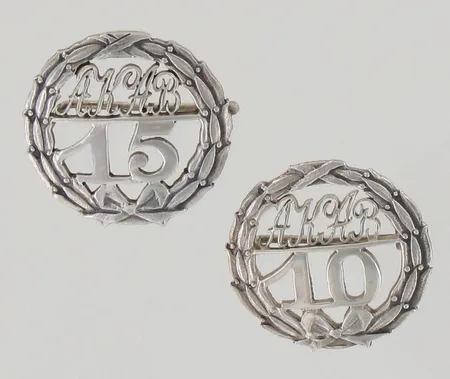 Kaksi rintaneulaa, Ø 23mm, numeroidut 223 ja 236, 830, paino 5,7g