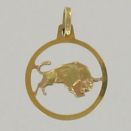 Horoskooppiriipus, korkeus 22mm, 585, paino 1,2g