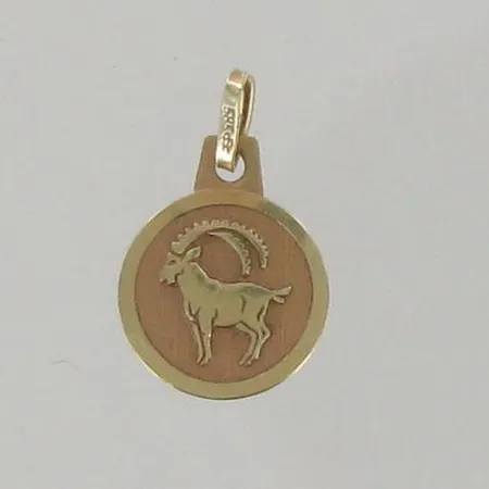 Horoskooppiriipus, korkeus 16mm, 585, paino 0,5g