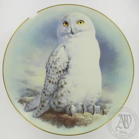 Viallinen lautanen, Raymond Watson, The Snowy Owl, puinen teline. Ota yhteys panttilainaamoon kuljetusmaksusta sopimiseksi.