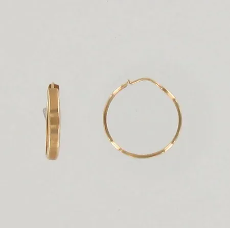 Korvarenkaat, Ø 19mm, 585, paino 0,8g