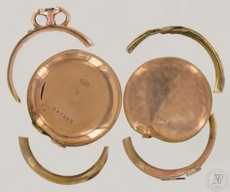 Viallisia kellonosia, 585, paino 9,5g