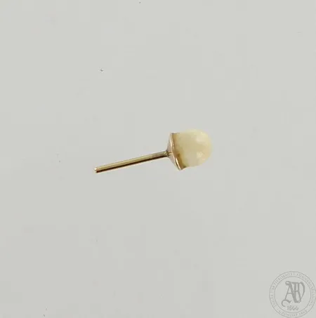 Viallinen helmikorvakoru, 585br, paino 0,4g 