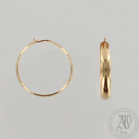Korvarenkaat, käytön jälkiä, Ø 20mm, 585, paino 0,7g