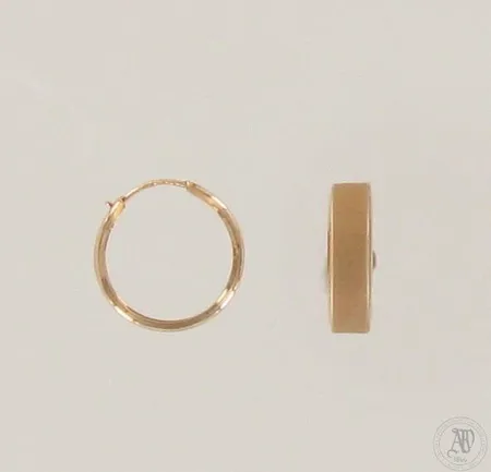 Vialliset korvakorut, 585, paino 0,9g