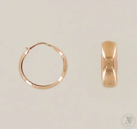 Korvarenkaat, Ø 21mm, 585, paino 2,2g