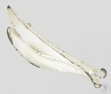 Rintaneula Lapponia, leveys 55mm, lukko hieman viallinen, 925, paino 7,3g
