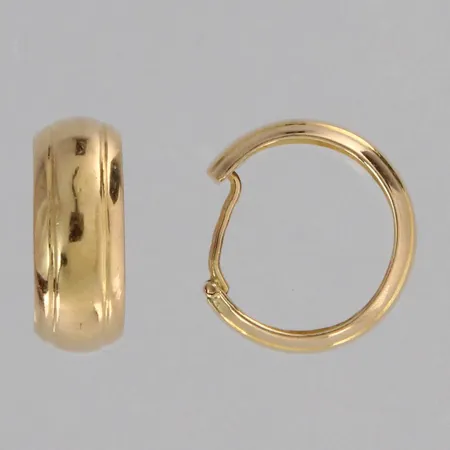 Korvarenkaat, Ø 14mm, 585, paino 2,1g