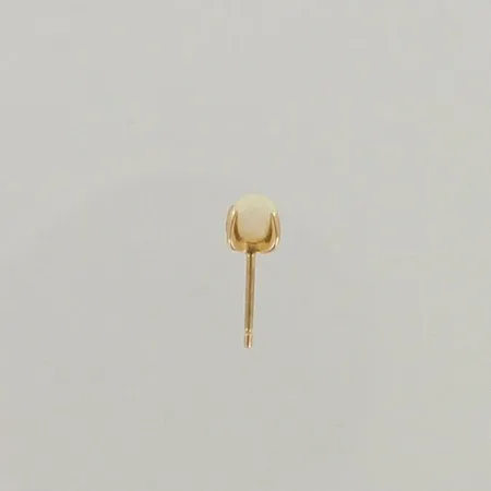 Pariton kivikorvakoru, tausta puuttuu, korkeus 5mm, 585br, paino 0,4g 