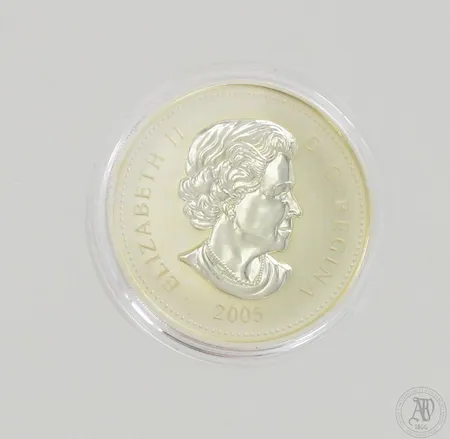 Hopearaha, 5 Dollaria Elisabeth II, Canada, 999, paino 31,7g 