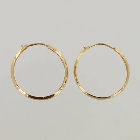 Korvarenkaat, Ø 20mm, pieniä käytön jälkiä, 585, paino 1,0g 