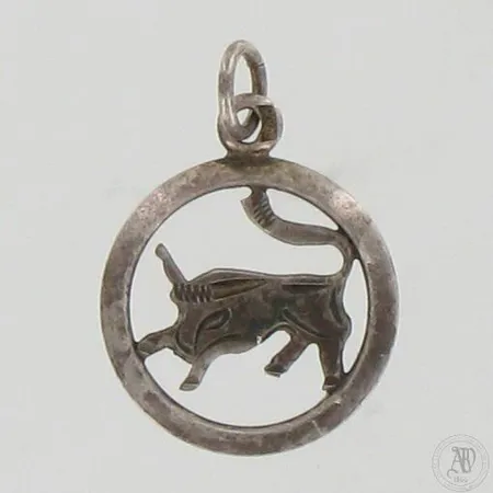 Horoskooppi-riipus, korkeus ja leveys 20mm ja 15mm, 900, paino 0,8g 