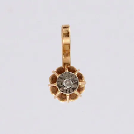Kiviriipus, korkeus 11mm, 585br, paino 0,3g Paino: 0,3 g