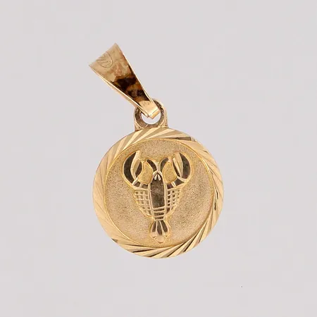 Horoskooppi-riipus, korkeus 17mm, 585, paino 0,6g Paino: 0,6 g