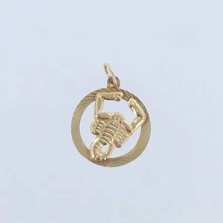 Horoskooppi-riipus, skorppioni, korkeus 19mm, leveys 15mm, 585, paino 0,5g 