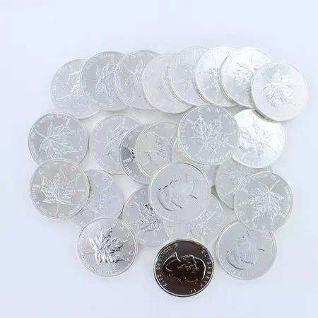 25 hopearahaa, Elisabeth II, 5 dollaria, 2013, Canada, 999, paino 785,0g