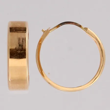 Korvarenkaat, Ø 16mm, 585, paino 1,0g Paino: 1 g