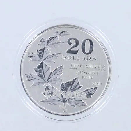 Juhlaraha Elizabeth II,  canada 2011, 20 dollaria 999,  Paino: 8 g