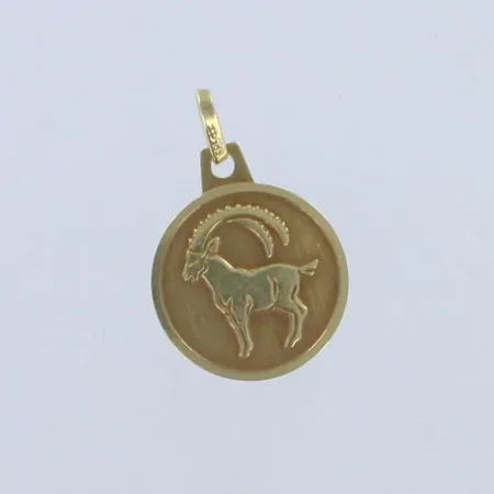 Horoskooppiriipus, korkeus 18mm, 585, Paino: 0,9g