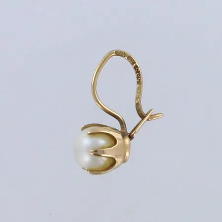 Helmikorvakoru, korkeus 17mm, 585br, Paino: 0,8g