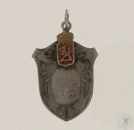 Vuoden 1918 saksalaisten vapaussotaan osallistuneiden jetoni 