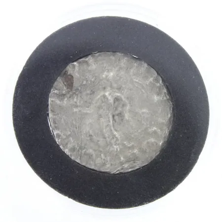 Hopearaha, Tetradrakhma, n.35 eKr. - 5 jKr., hopeaa,  Paino: 6,4 g