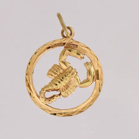 Horoskooppiriipus, korkeus 22mm, 585, Paino: 1,4 g