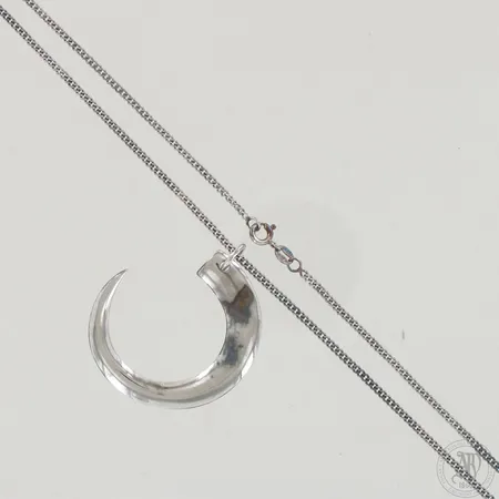 Kaulakoru, Villisian hammas, design Tapio Wirkkala, ketjun pituus 49-58,5cm, riipuksen korkeus 45mm, ketjussa käytön jälkiä, 925,  Paino: 14,7 g