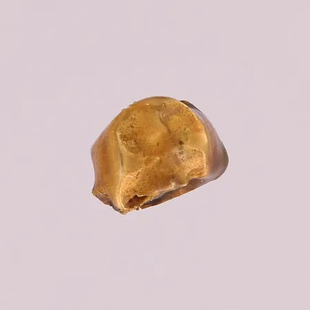 Hammaskultaa, 750,  Paino: 1,6 g