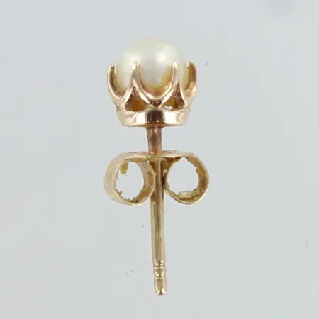Helmikorvakorut, korkeus 5mm, 585br,  Paino: 0,4 g