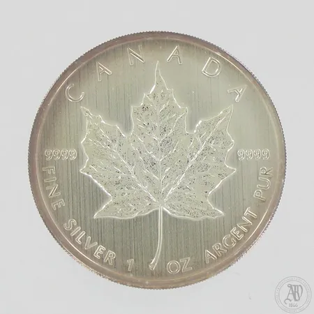 25 hopearahaa, Elisabeth II, 5 dollaria, 2012, Canada, 999,  Paino: 780 g