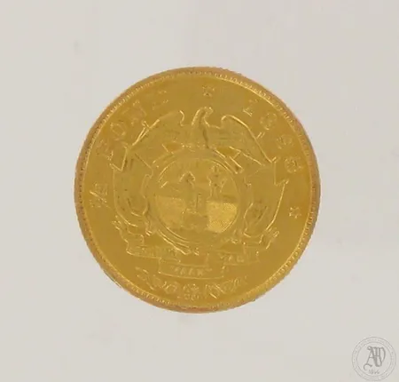 Kultaraha Etelä-Afrikka ½ pond, 1895, 916,  Paino: 4 g