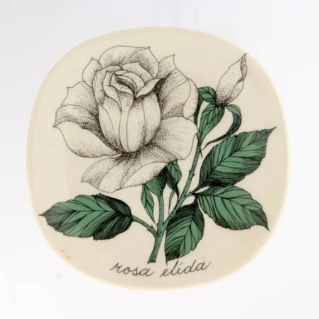 Seinälautanen, Arabia, Esteri Tomula, Rosa Elida, Ø 12cm