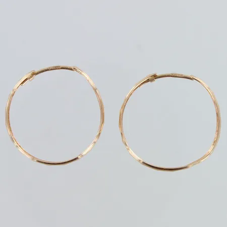 Korvarenkaat, käytön jälkiä, Ø21mm, 585,  Paino: 1,1 g
