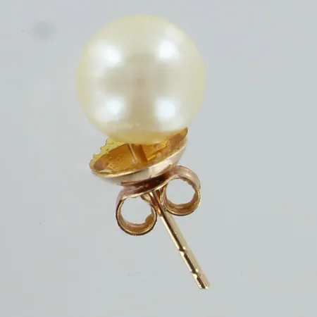 Viallinen helmikorvakoru, 585br, Paino: 0,6 g