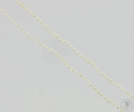 Helminauha, pituus 90cm, leveys 3-4mm.