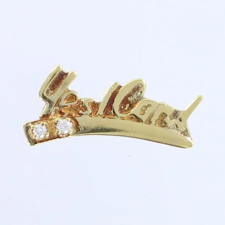 Timanttipinssi 2x0.02ct, leveys 20mm, 585br,  Paino: 2,9 g