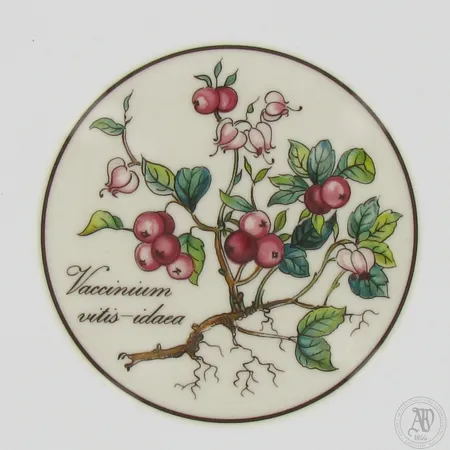 Posliinirasia, Botanica, Villeroy and Boch, korkeus 10mm, Ø 70mm 