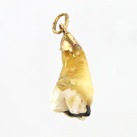 Hammas-riipus, korkeus 25mm, 750br,  Paino: 0 g